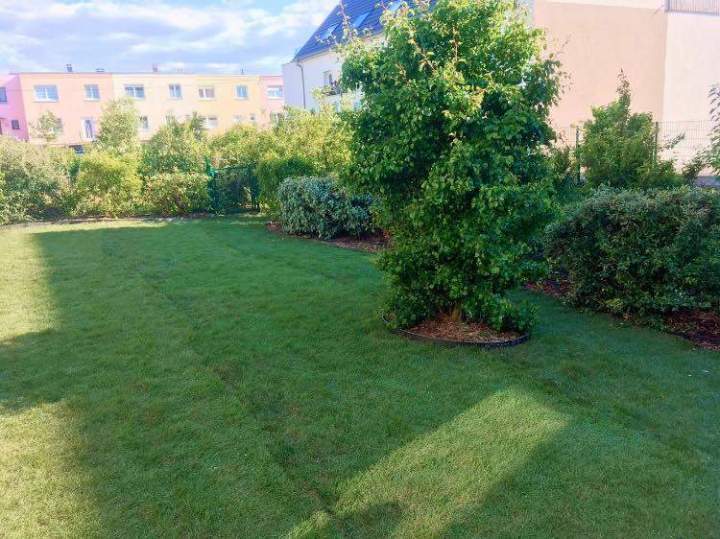 Entretien de jardin Berrwiller